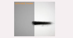 Gerlinde Thuma, bildende Kunst